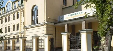 Скандинавия литейный 55