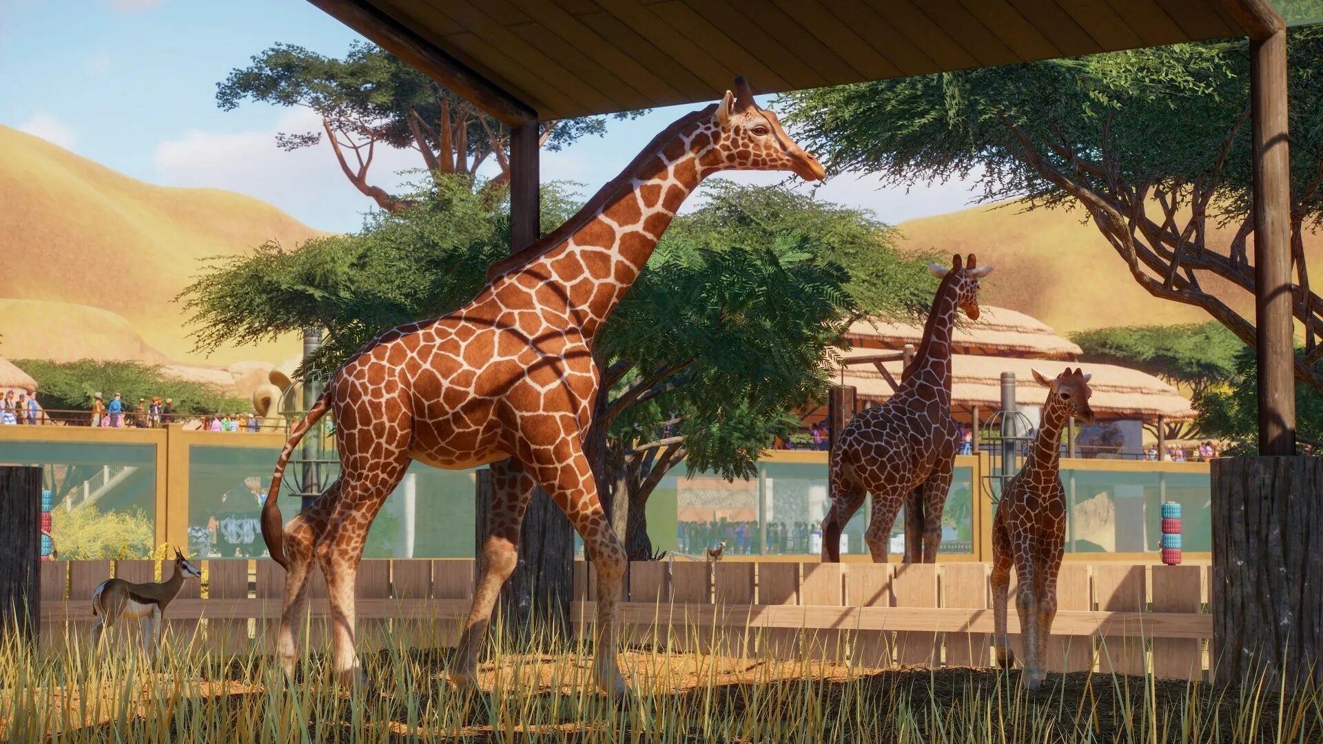 Планет зу. Планета зоо игра. planet zoo 2019. гиеновая собака planet zoo. planet zoo: deluxe edition.