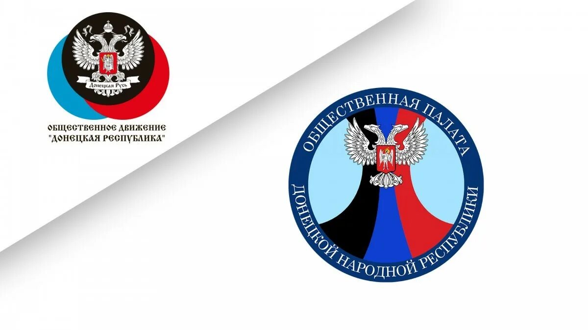 Общественная палата днр логотип png. Общественная палата днр кофман. Флаг общественная палата. Общественная палата днр. Палата днр.