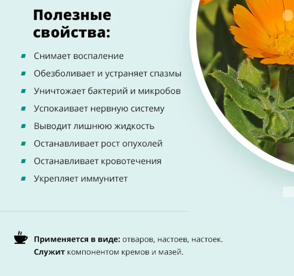 Лечебная трава календула. Цветки календулы свойства. Цветки календулы свойства. Календула лекарственная соцветие. Календула соцветие.
