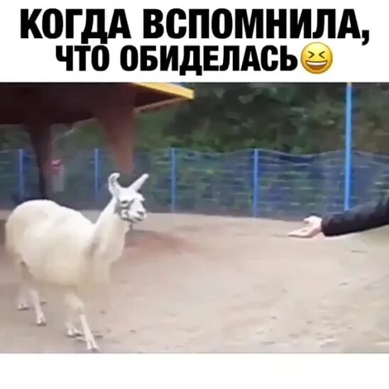 Ведьма цитаты и высказывания. Ты че обиделась. Женщина обижена. Когда вспомнила что обиделась. Прежде чем обижаться на меня вспомните.