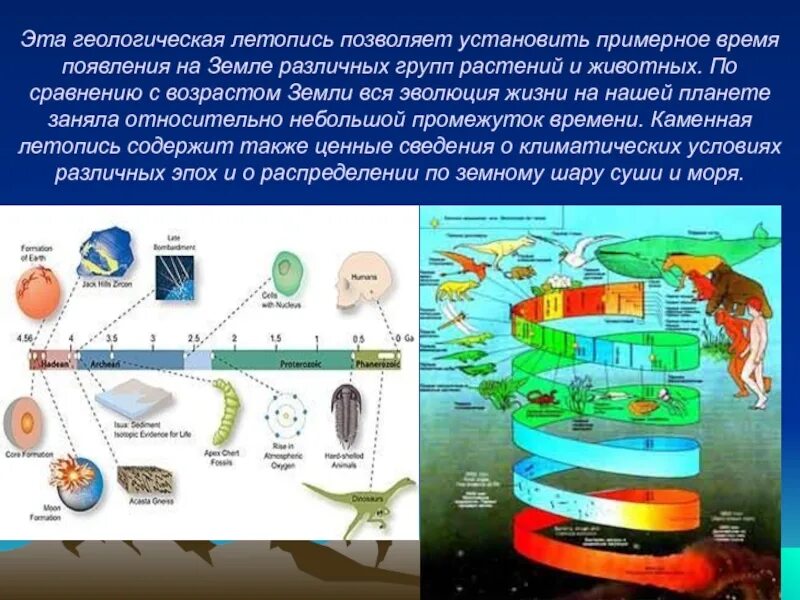 Стратиграфия трилобиты. Дарвин неполнота геологической. Геологическая временная шкала истории земли. Тафономия и геологическая летопись. Шкала развития жизни периоды.