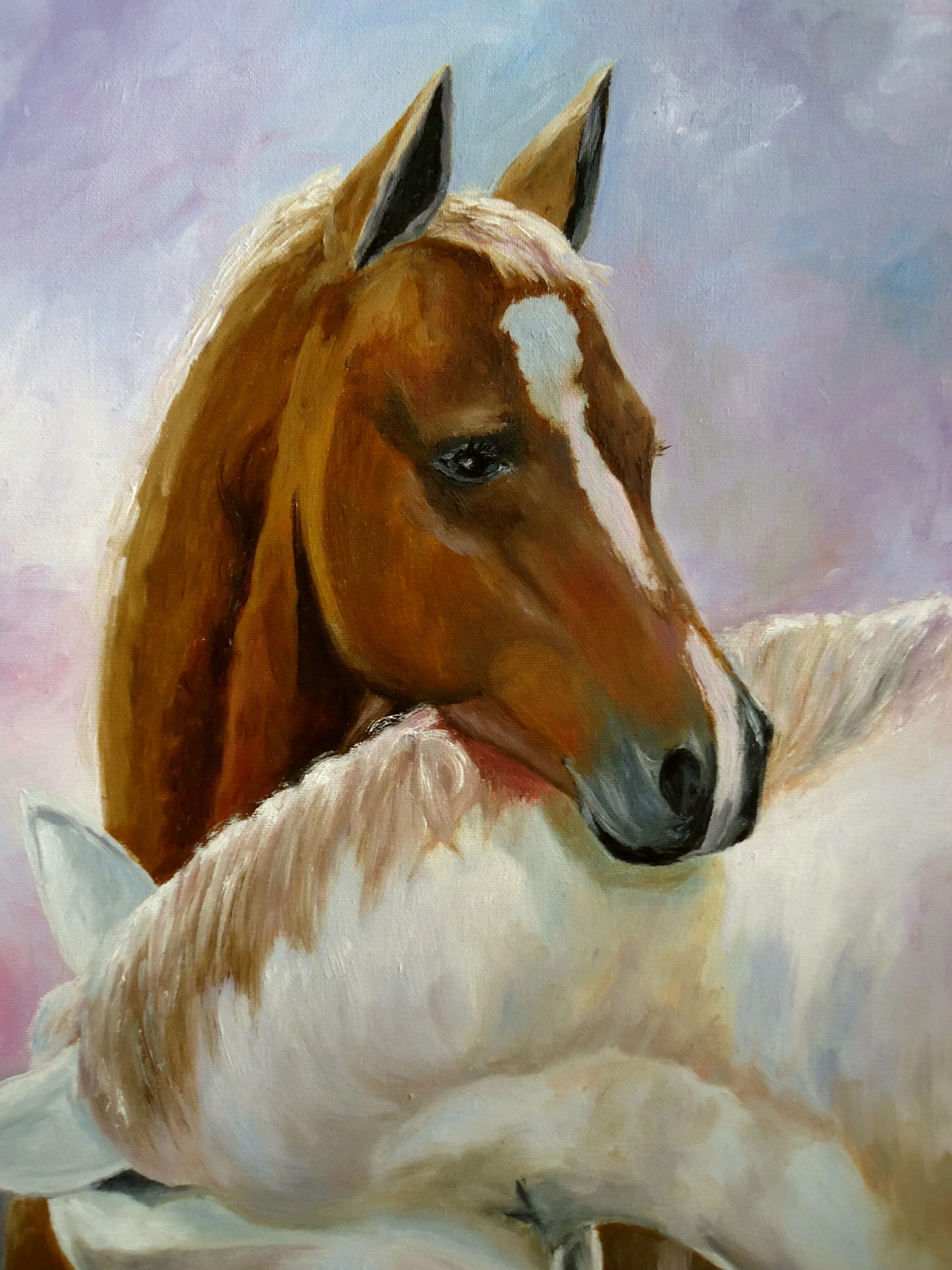 Лошади в живописи. Лошади живопись маслом. Кони живопись маслом. Репродукции картин с лошадьми.