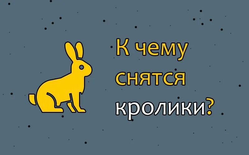 К чему снятся кролики во сне женщине. К чему снятся кролики. К чему снится крольчиха. Видеть во сне кролика. К чему снятся кролики женщине.