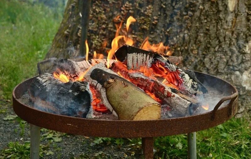 Можно ли жарить шашлык на дровах
