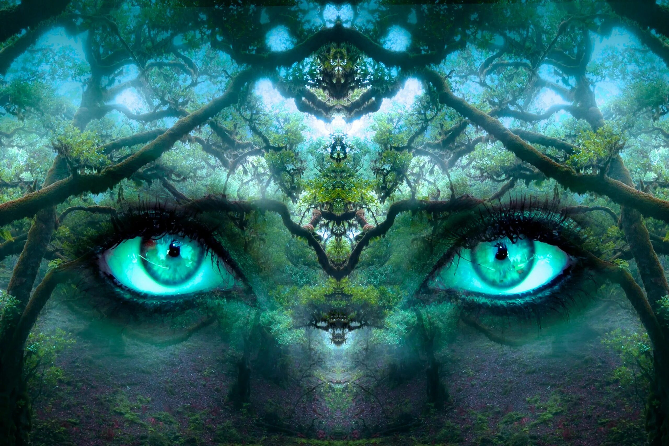 Eyes in the forest. Мистический лес. Forest eyes. Отражение в зеленых глазах. Лес для обложки песни.