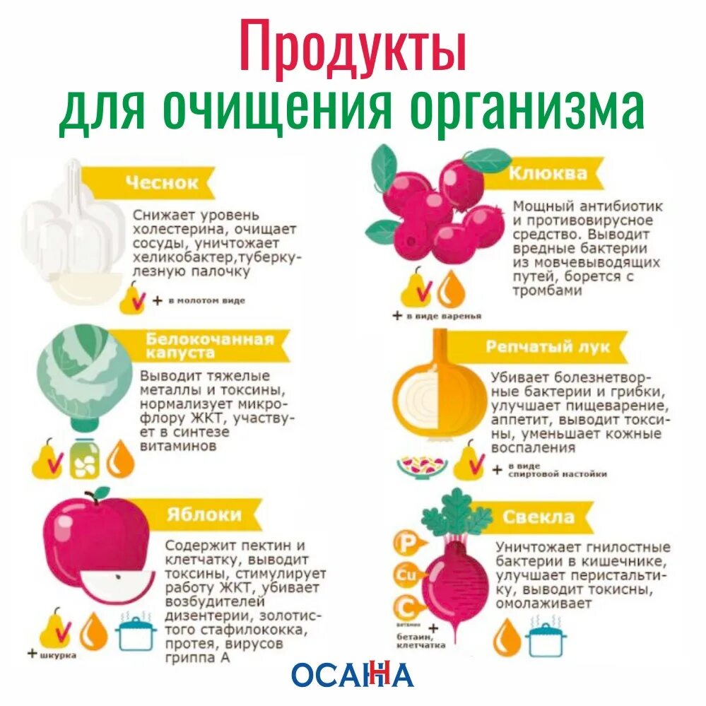 Сколько времени очищается организм. Как выводить шлаки из организма. Продукты для очищениеорганизма. Продукты для очищения организма. Как очистить организм.