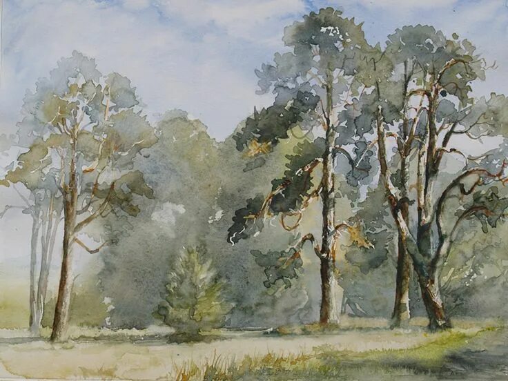 Этюды деревьев маслом. Этюд группы деревьев на фоне неба. Этюды деревьев акварелью пленэр. Этюды васнецова пленэрные. Группы деревьев этюды и зарисовки.