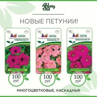 Профессиональные семена томск