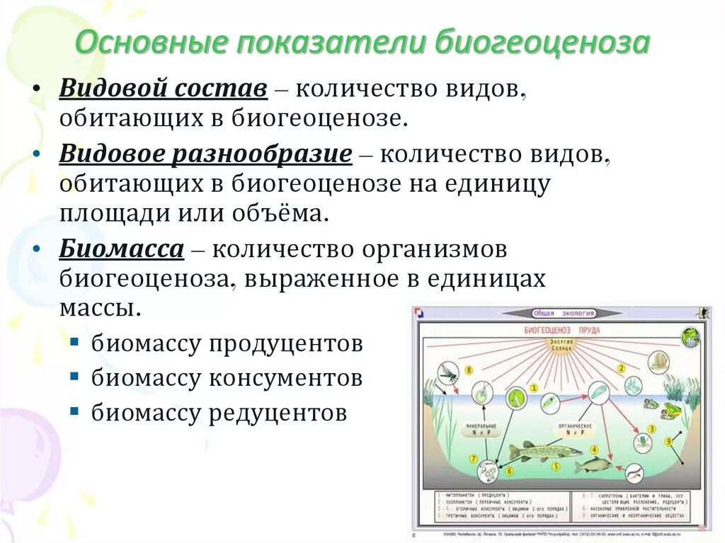 Основные структурные компоненты биогеоценоза. Основные показатели экосистемы. Основные показатели биогеоценоза. Биогеоценоз, его структура и функции.. Функции биогеоценоза.