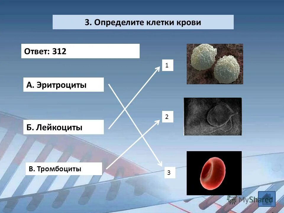 клеточный определение