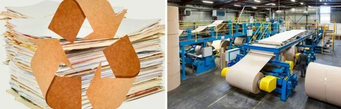 Экологичная печать: тренды и возможности современных типографий