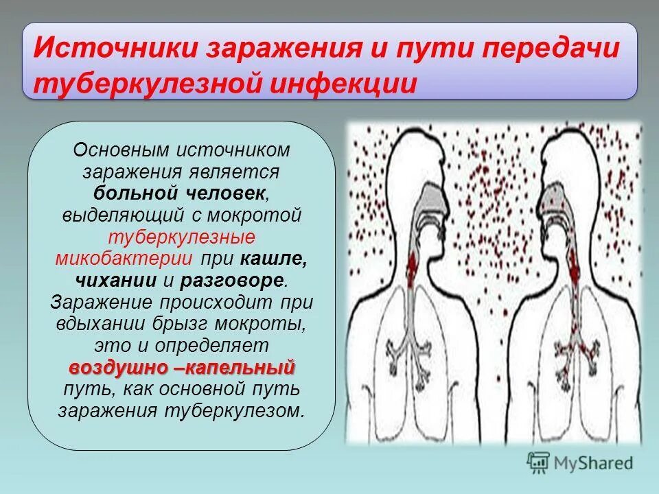 Воздушно капельный путь передачи. Источники и пути передачи туберкулезной инфекции. Воздушно капельный путь заражения. Источники заражения туберкулезом.