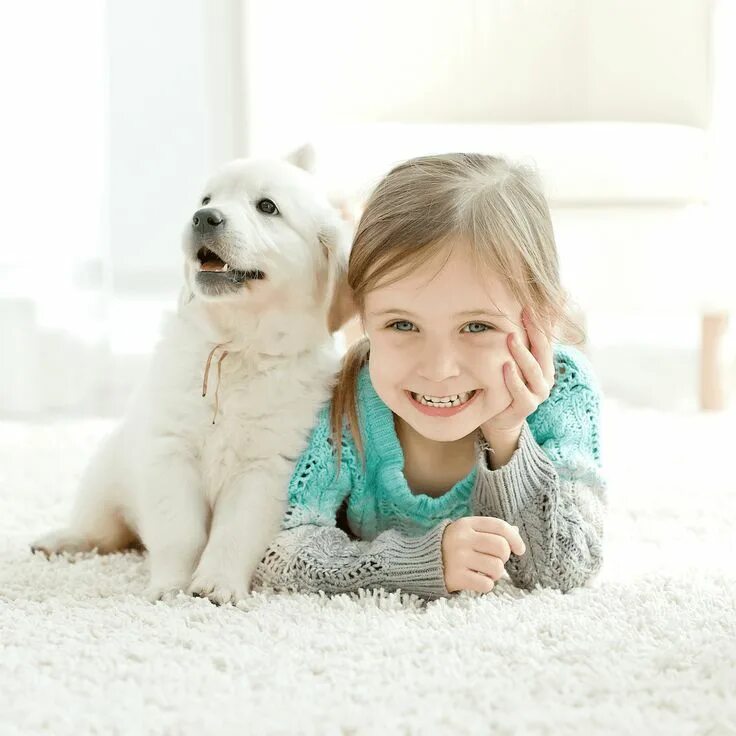 Dogs is little
