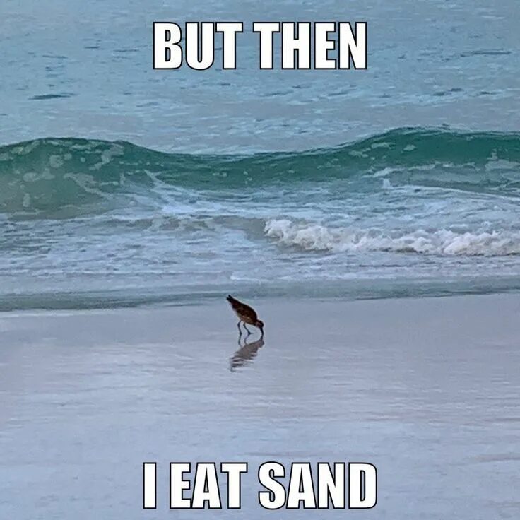 Send first. Send me location. Сенд нудес. Send noods meme. In bellos email , what does “cc recipient mean ?.