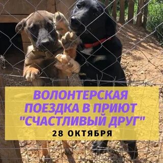 Приют берег
