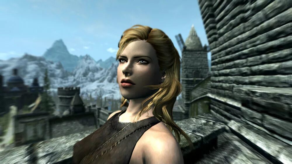 Skyrim se dialogue