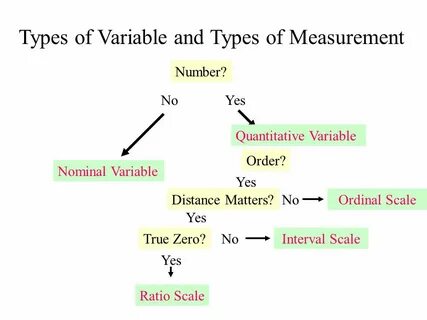 Quantitative variables