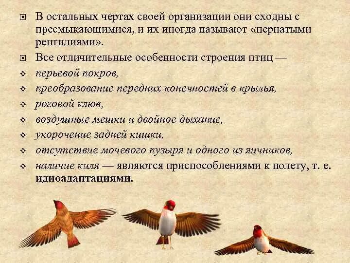 Перечислите особенности птиц. Функции перьевого Покрова у птиц. Перьевой Покров птиц. Особенности Покрова птиц. Каково значение перьевого Покрова птиц.