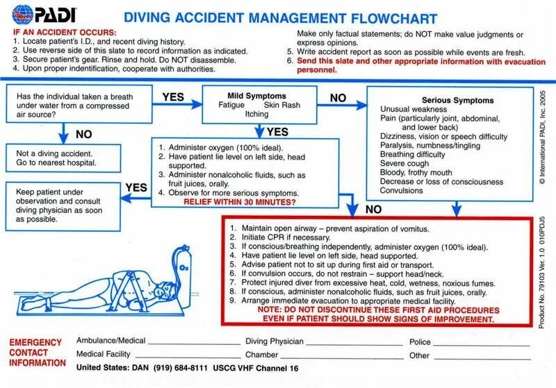 Пади выражение. Пади выражение. Пади выражение. Язык жестов дайверов. Padi уровни.