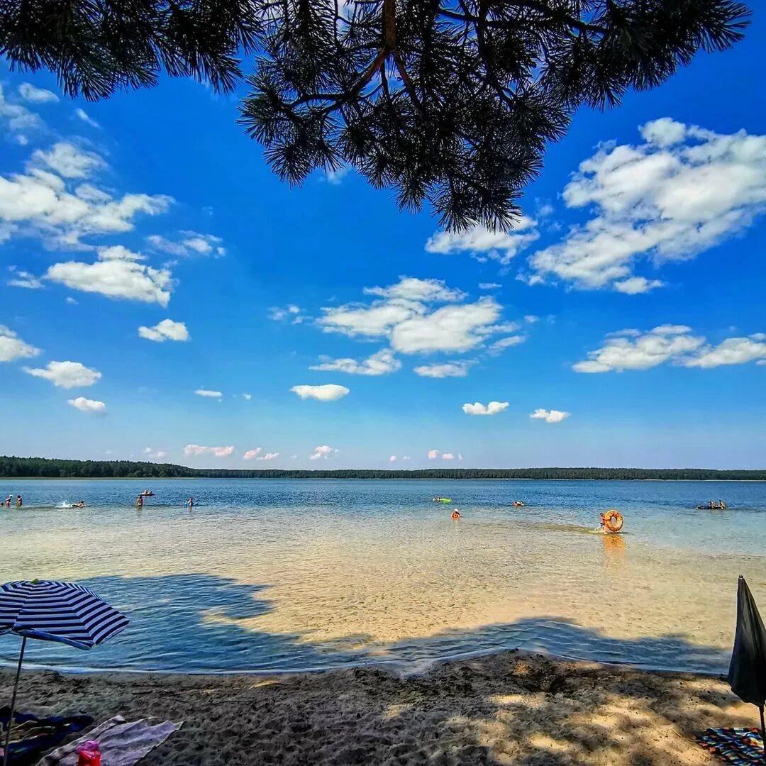 лепельский военный санаторий белоруссия. озеро белое витебск. озеро нарочь пляж. озеро нарочь пляж. браслав озеро дривяты пляж.
