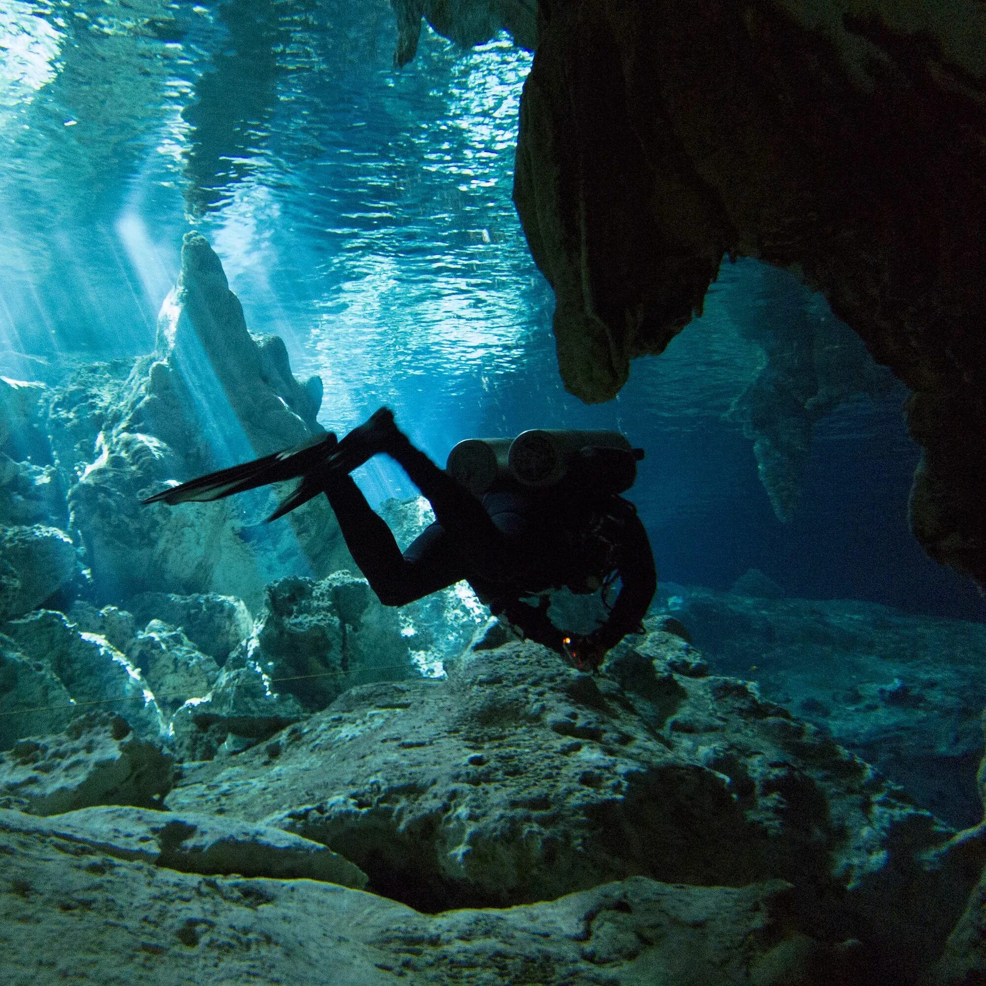 Вертикальная пещера затоплена водой можно найти уровень. Мексика Сеноты дайвинг. Юкатан дайвинг. Сеноты Майя дайвинг. Дайвинг в сенотах Мексики.