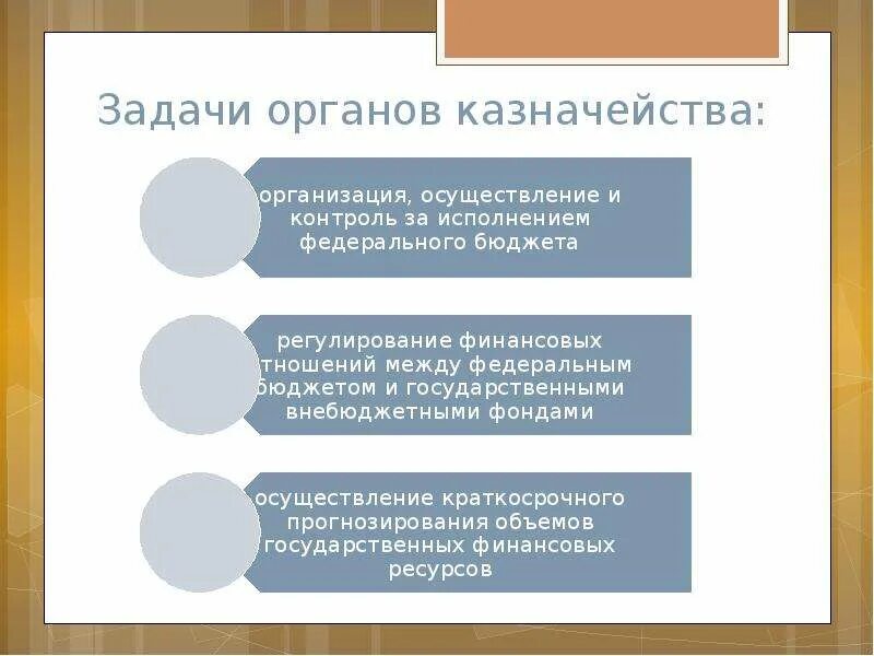 Казначейство россии это. Задачи федерального казначейства РФ. Функции казначейства РФ. Федеральное казначейство функции и задачи. Задачи органов казначейства.