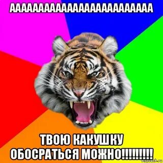 Что там прислали