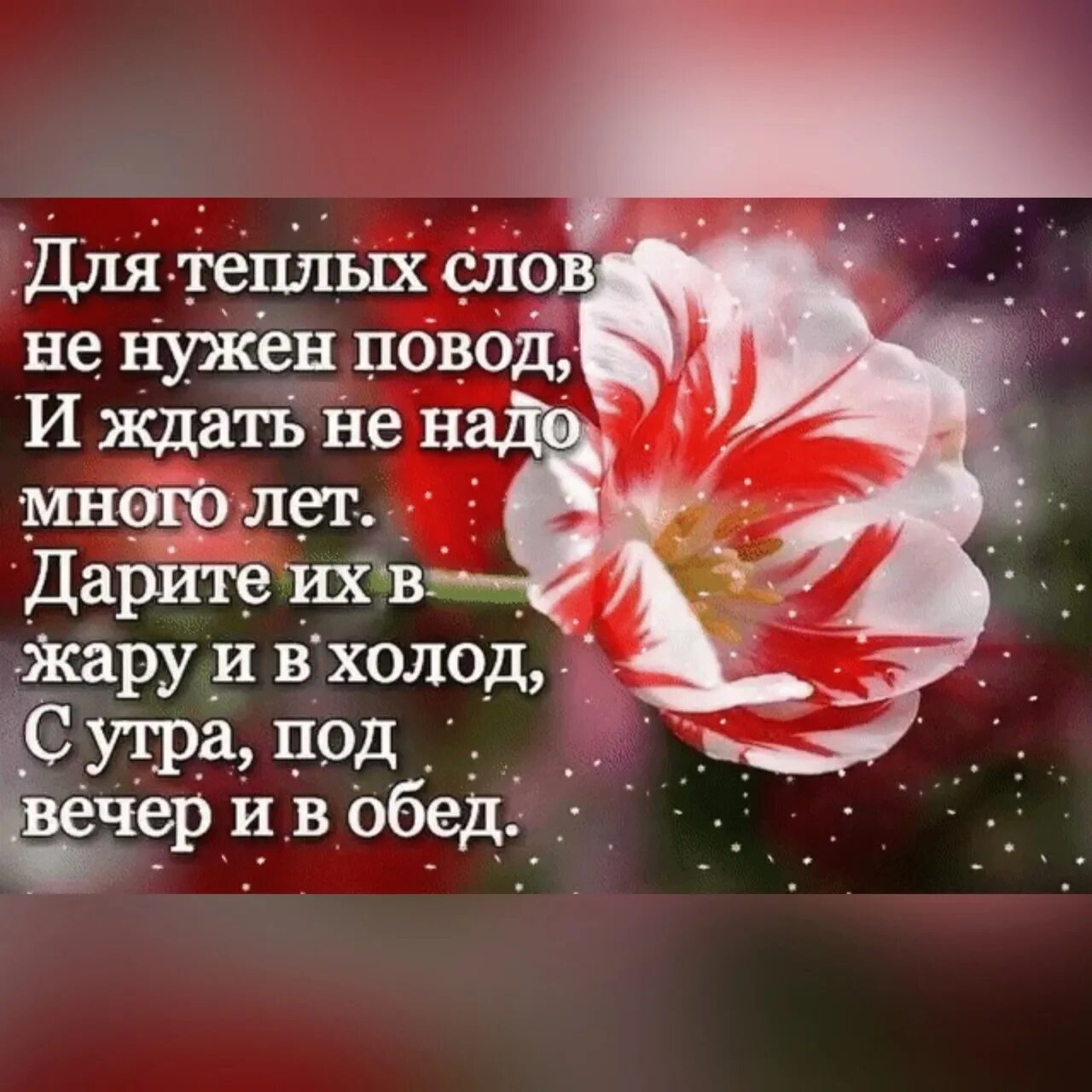 Благодарю картинки. Тепло души цитаты. Трудовые династии презентация. Отзывы теплый слова. Теплые слова любимому человеку.