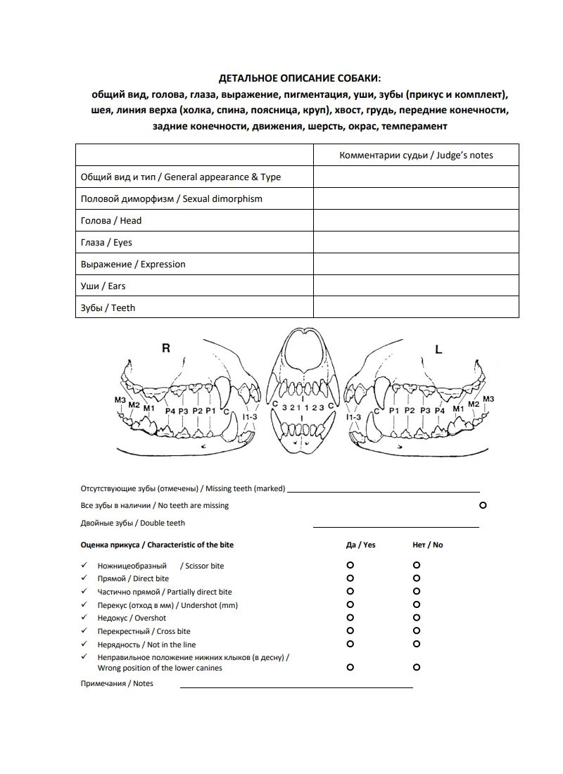 племсмотр собак в ркф. бланк племенного смотра собак. племенной отбор собак. расписание выставки собак. племенной осмотр собак.