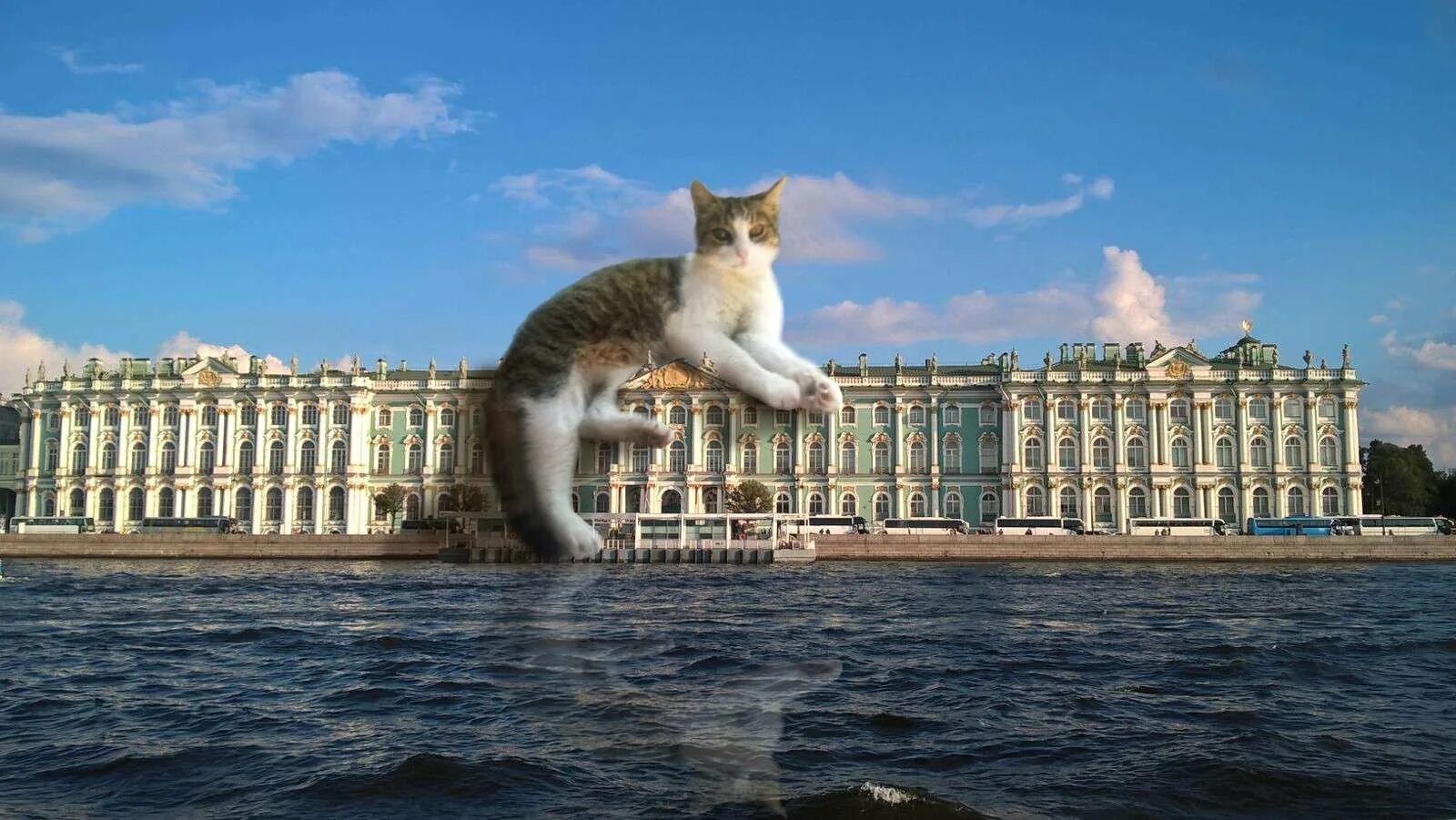 Эрмитаж коты. Коты эрмитажа. эрмитаж санкт-петербург коты. петербургские эрмитажные коты. дворцовые коты эрмитажа.