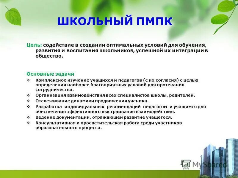 цели и задачи комплексной программы