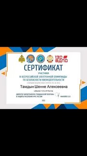Всероссийская электронная работа