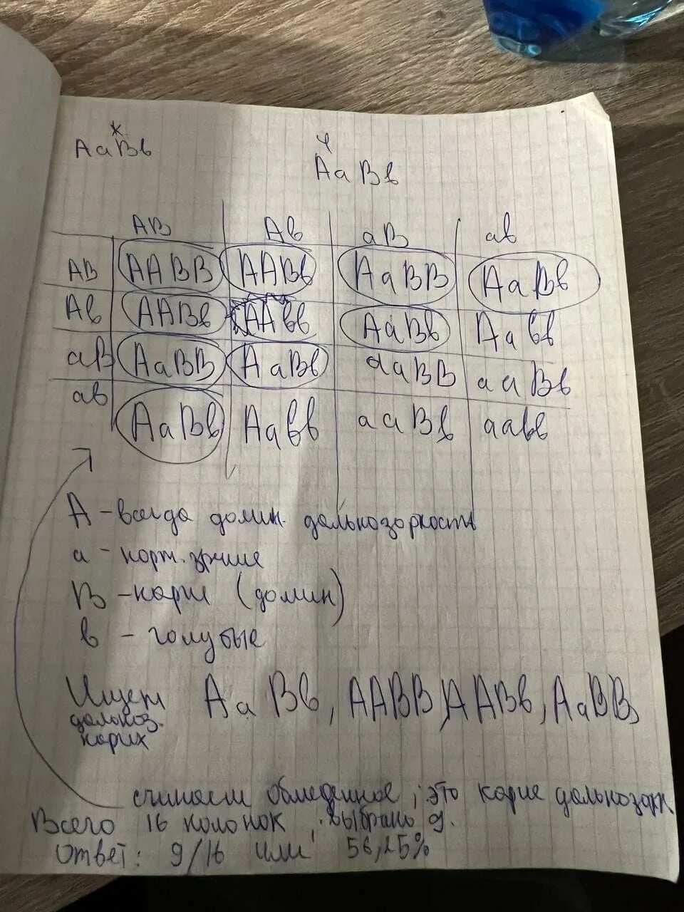 Девушка имеющая нормальное зрение отец которой. У человека близорукость доминирует над нормальным зрением. у человека близорукость а доминирует над нормальным зрением а карие. у человека дальнозоркость доминирует над нормальным зрением. у человека некоторые формы близорукости доминируют над нормальным.