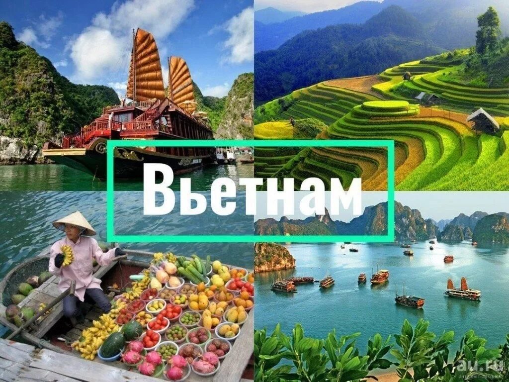 Вьетнам коллаж. Вьетнам путешествие. Вьетнам надпись. Вьетнам для туристов. Полететь во вьетнам