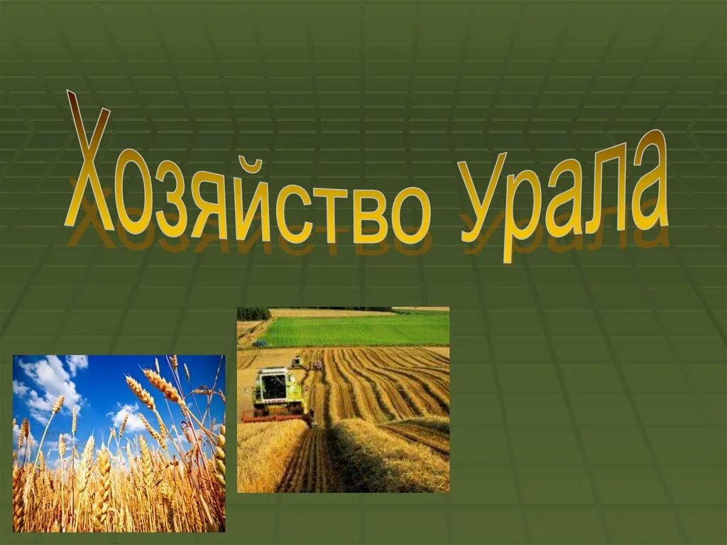 Презентация урал особенности хозяйства. Сельское хозяйство Урала 9 класс география. Хозяйство Урала 9 класс география. Хозяйство района Урала 9 класс. Презентацихозяйство урадла.