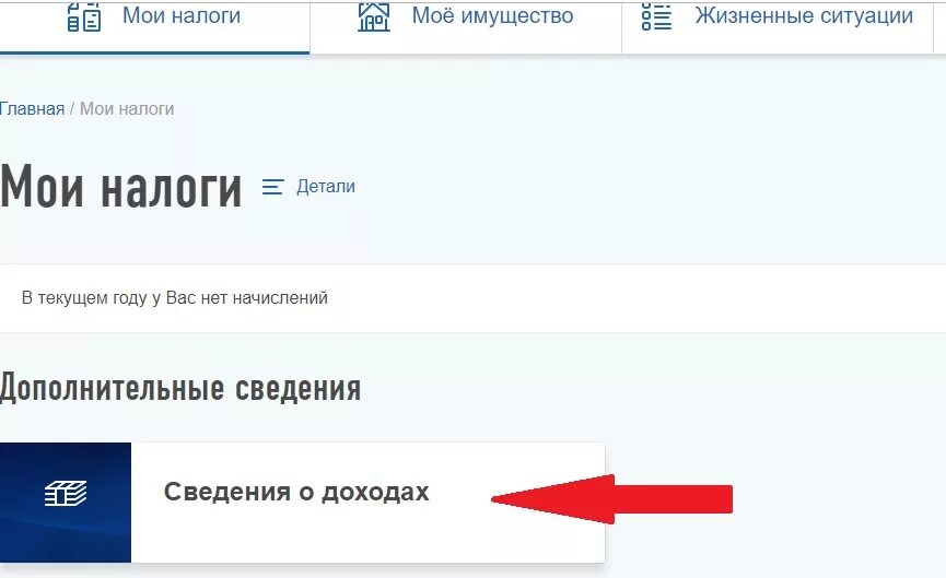 Как оформить ндфл через госуслуги. 2 НДФЛ через госуслуги. Справка НДФЛ через госуслуги. Справка о доходах через госуслуги. Как на госуслугах заказать справку о доходах.