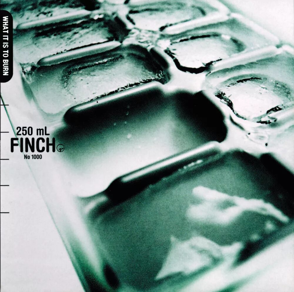 From what it is to a. Finch what it is to burn. finch band. say hello to sunshine finch. finch emo.