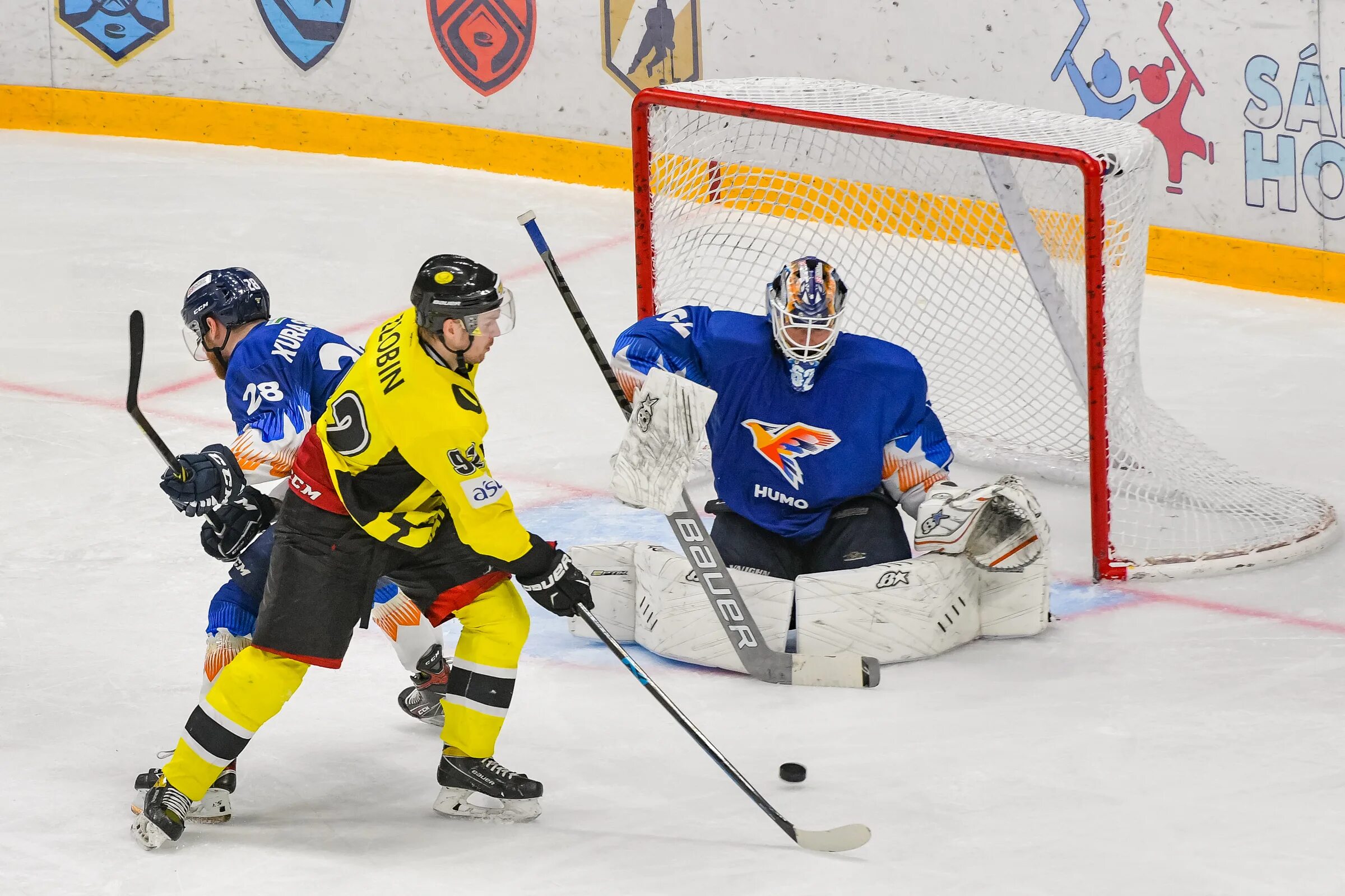 хоккейные команды новосибирска. гостевая хк. гостевая хк. хк автомобилист форма. хк витязь форма.