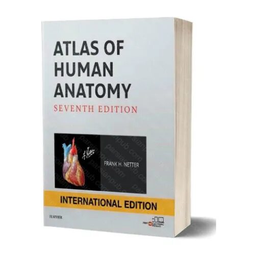 Атлас фрэнк. Атлас Неттера 7 издание. Анатомия Фрэнка Неттера. Атлас по анатомии Фрэнка Неттера. Фрэнк Неттер атлас анатомии человека.