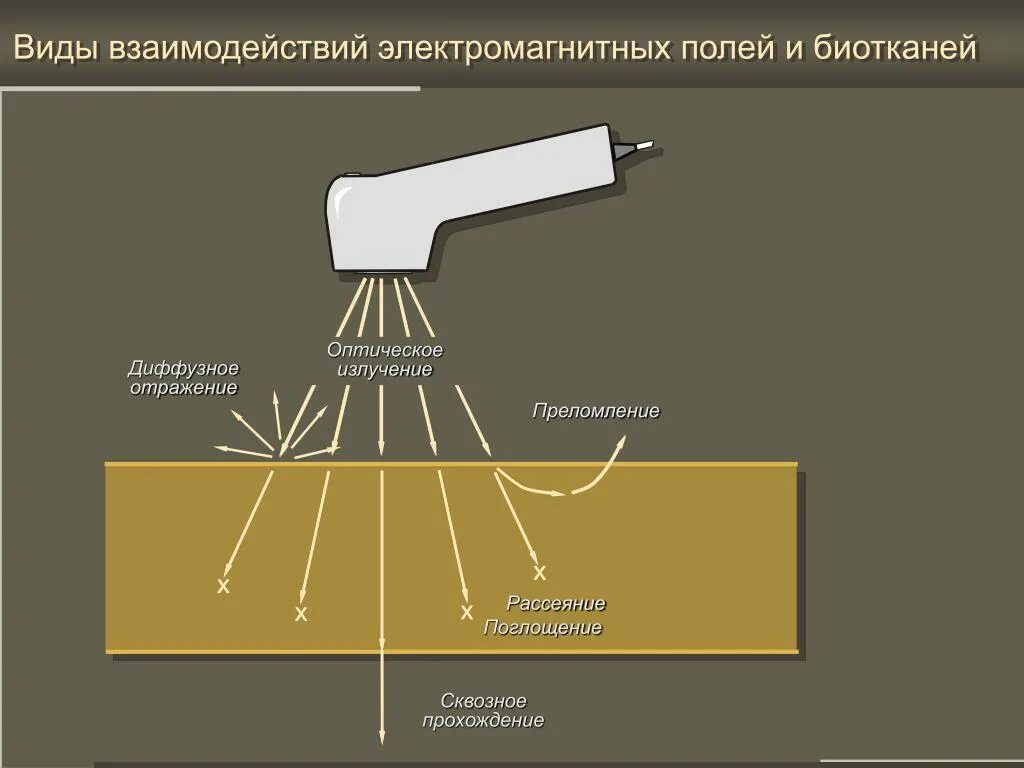 Взаимодействие лазерного излучения с биологическими тканями. Рассеянное лазерное излучение. Поглощение лазерного излучения биотканью. Взаимодействие электромагнитных полей. Диффузное поле