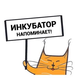 Картинка напоминаю