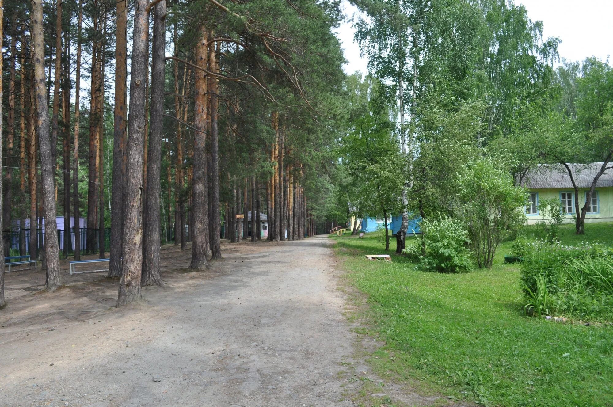 Загородный лагерь заря. Лагерь Заря Сысертский район. Дол Заря Нижнекамск. Лагерь Заря Нижнекамск. Лагерь Заря Чкаловский район.