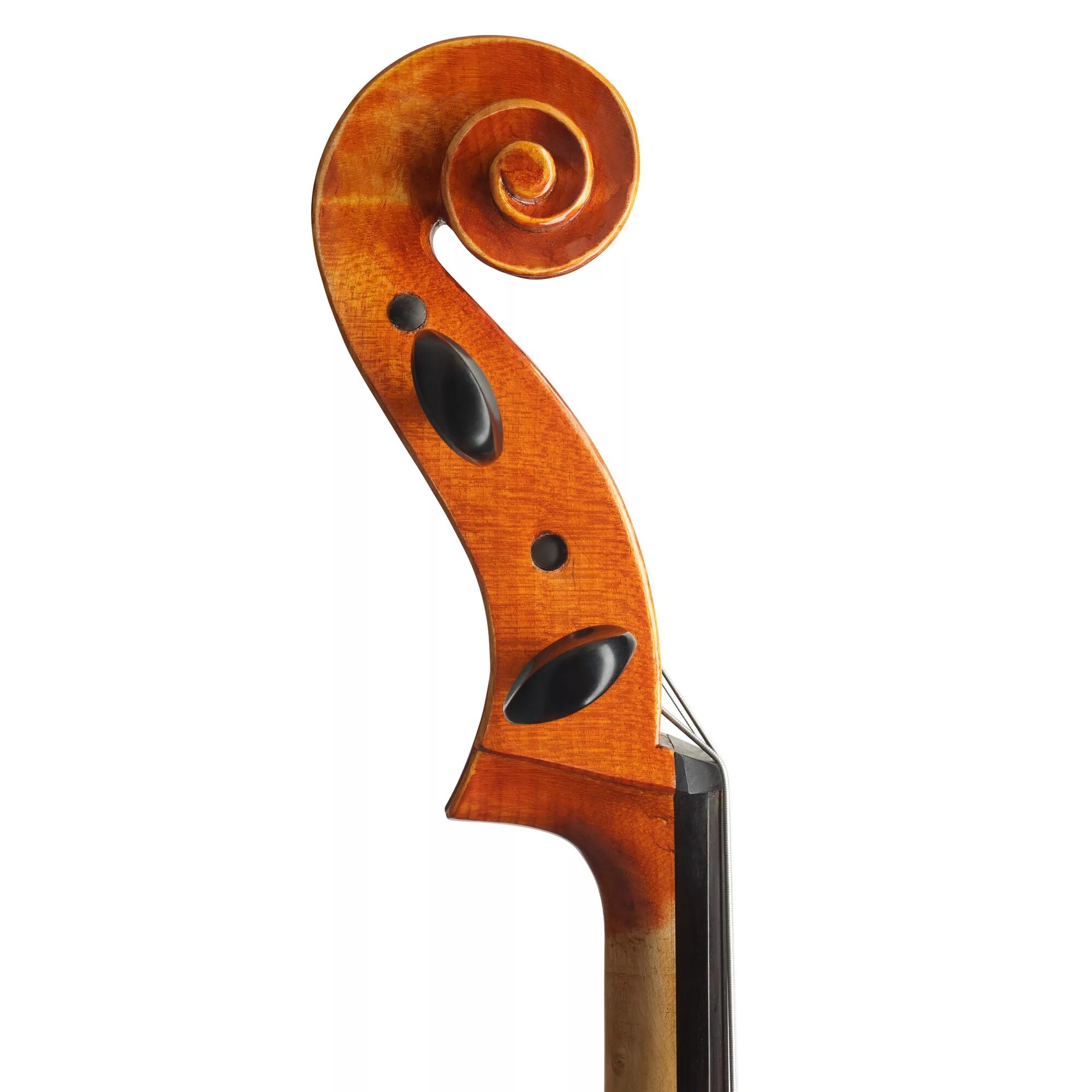 Музыкальный магазин музыкальных контрабас. Виолончель струнные смычковые музыкальные инструменты. Виолончель горонок. Виолончель (chello hongmijoo ilga salinsagan, 2005). Виолончель с 2-мя колками.