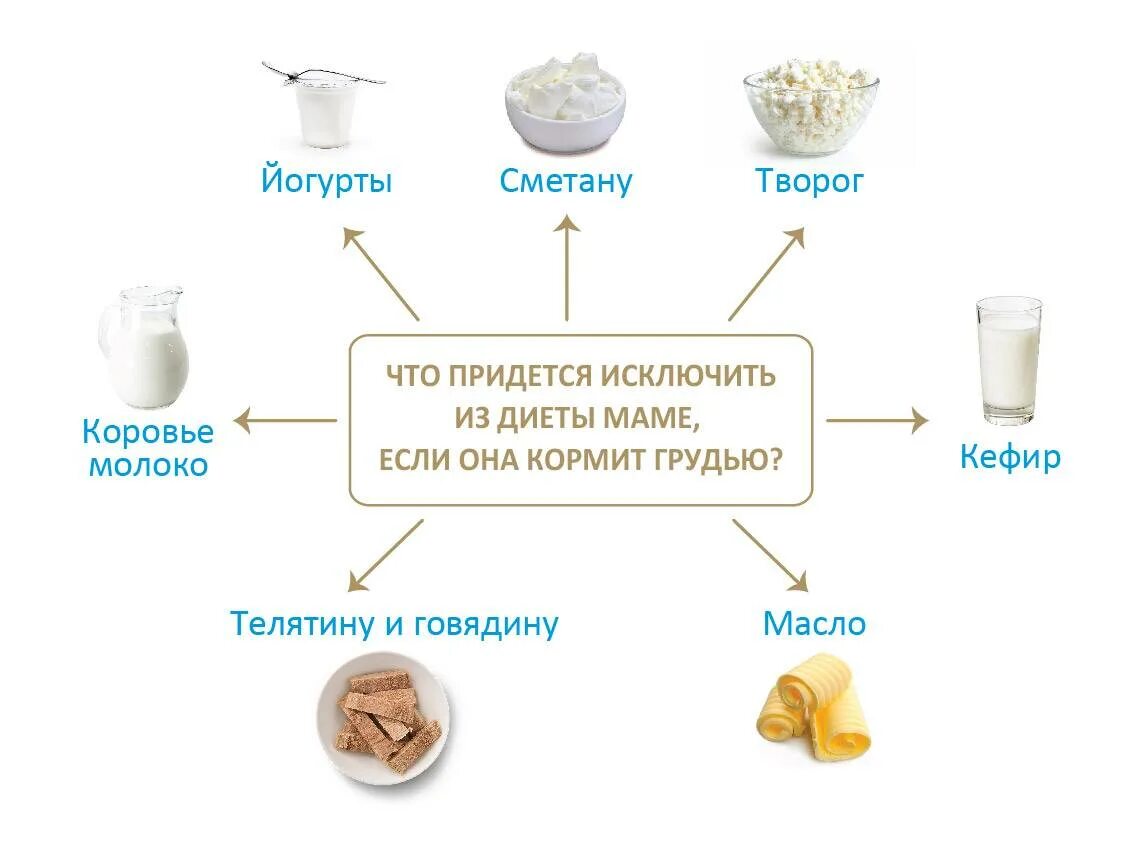 Молочные продукты. Аллергия на белки коровьего молока. Белолок коровьего молоке. Непереносимость белка коровьего молока. Творог кормящей маме