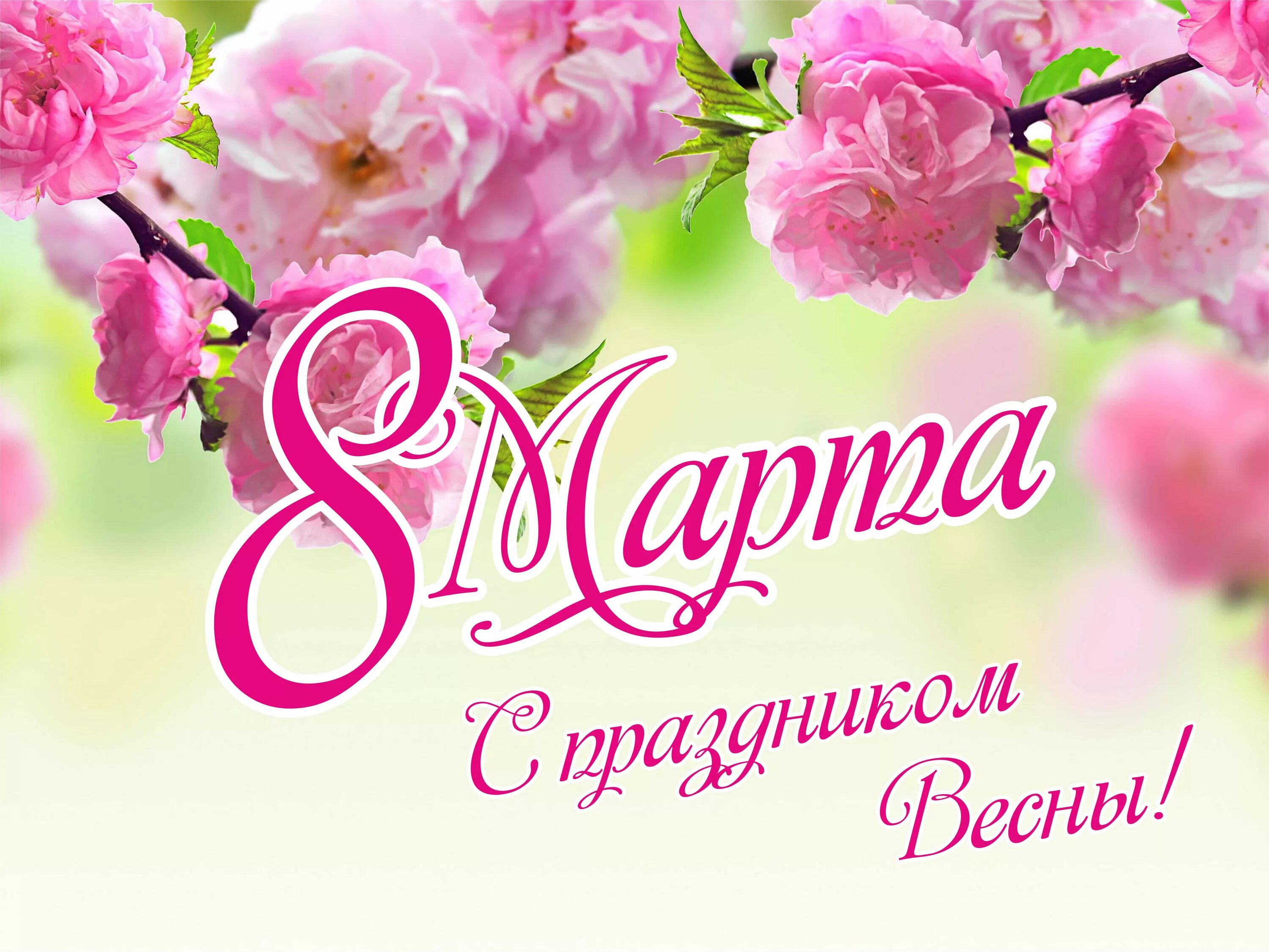 С праздником весны. С праздником весны. С праздником весны и красоты картинки. Красивые весенние открытки. Весенний праздник.