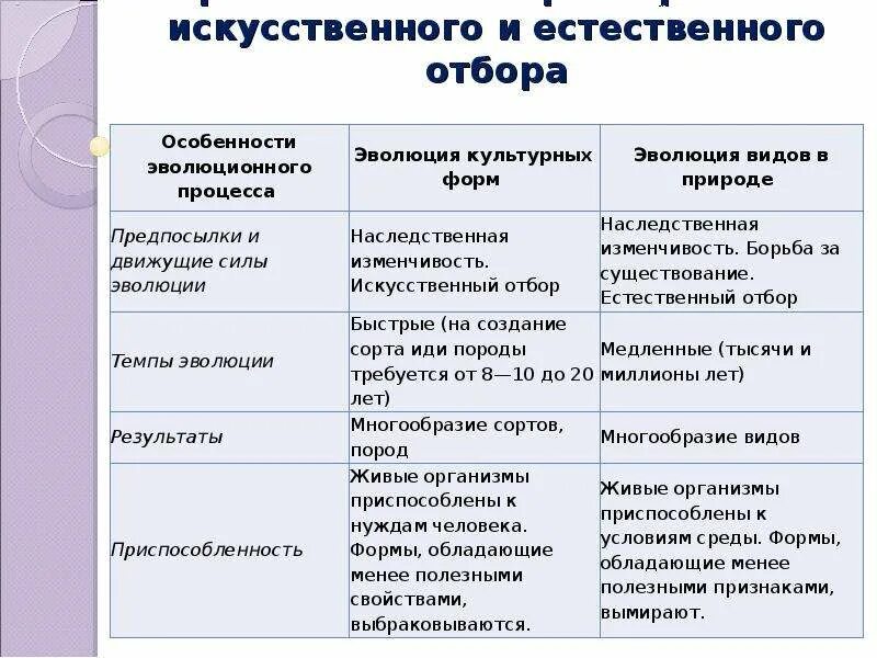 Сравнение форм отбора. Сравнительная таблица естественного и искусственного отбора 9 класс. Сравнительная таблица искусственного и естественного отбора 11 класс. Сравнение искусственного и естественного отбора таблица 11 класс. Критерии искусственный отбор естественный отбор таблица.