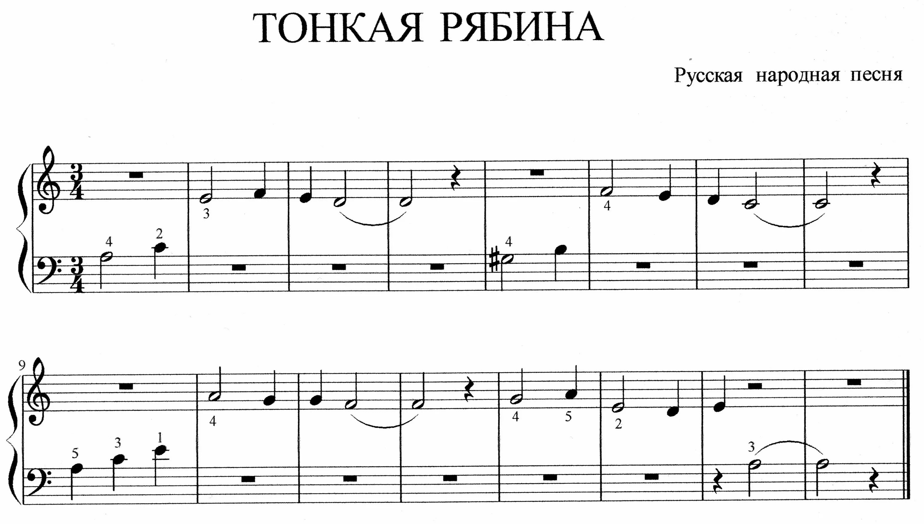 Рябина разбор. Рябина разбор. Тонкая рябина ноты для аккордеона. Тонкая рябина ноты для гитары. Что стоишь качаясь ноты.