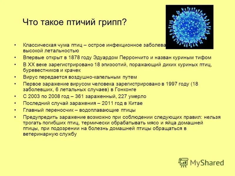 Почему вирусы неклеточные формы