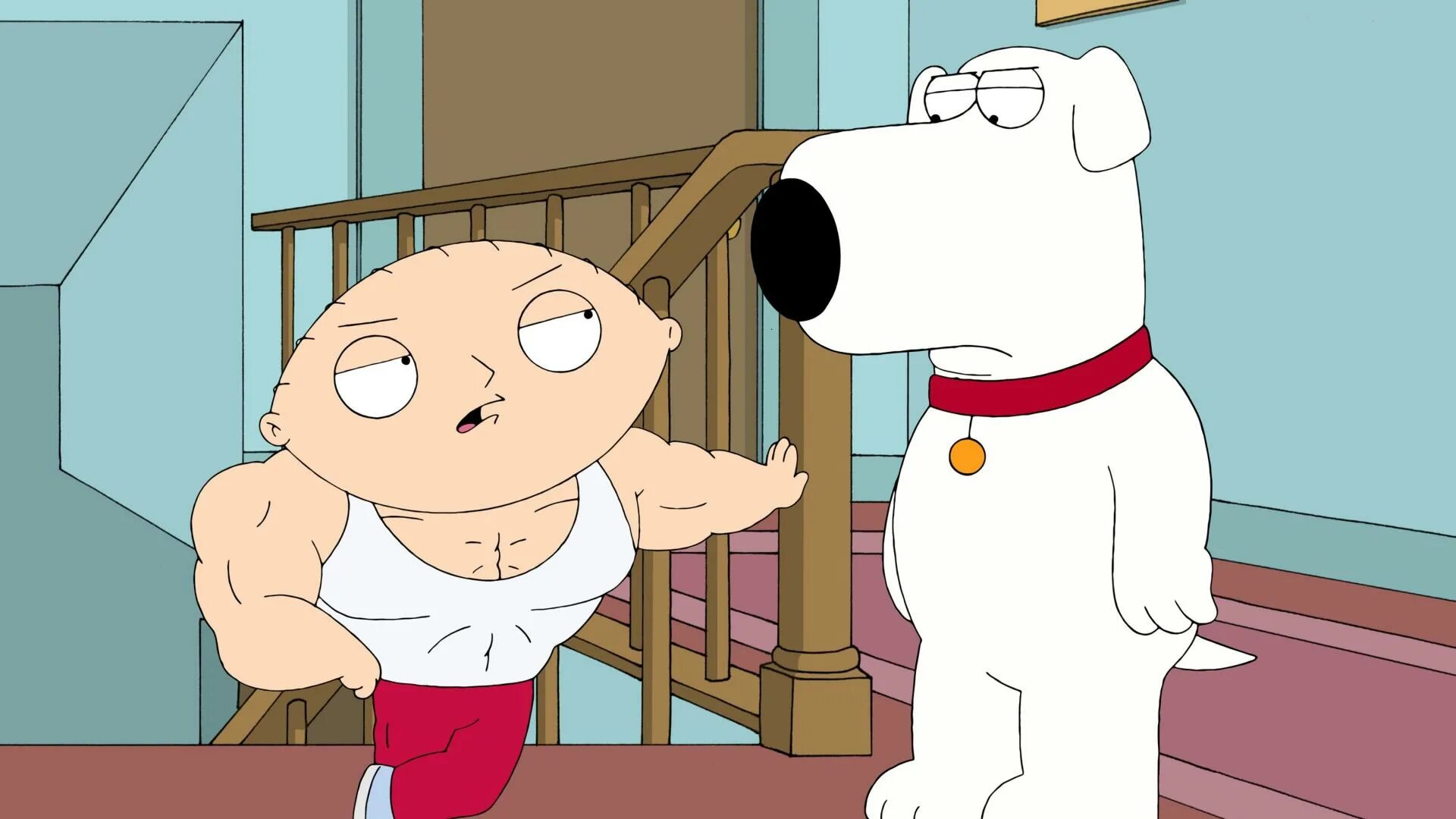 Griffins guy